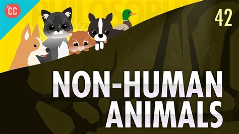 Crash Course Philosophy #42: Non-Human Animals - The Mind Voyager