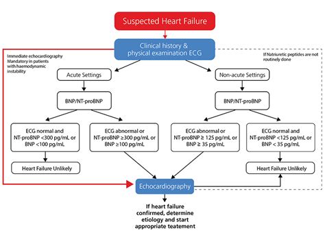 The Health Hub: Heart Failure - Diagnosis