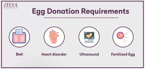 What Is Egg Donation And How Does It Work?