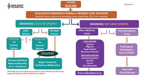 Understanding Seizures | Is It Epilepsy? | Epilepsy Foundation