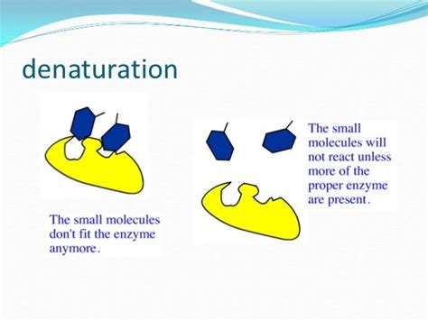 MIC310 (Microbial Physiology) - Chapter 4 : Enzymes