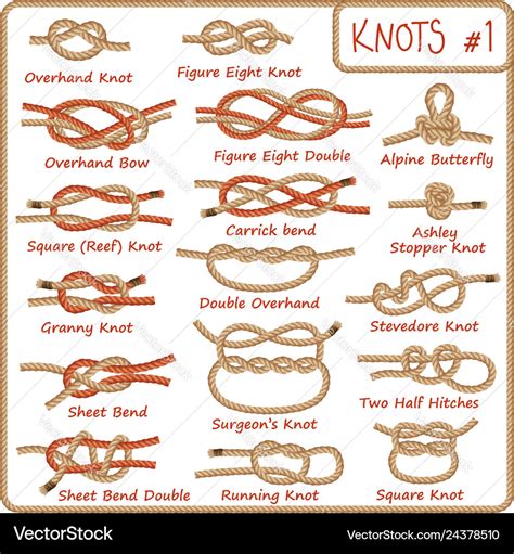 Set of rope knots hitches bows bends Royalty Free Vector