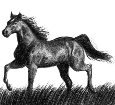 10+ Cool Horse Drawings for Inspiration 2022