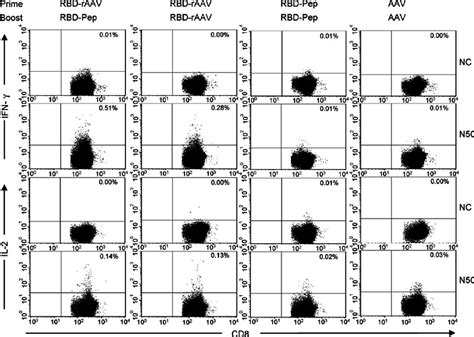 Detection of CTL responses by flow cytometry analysis. Specific CTL ...