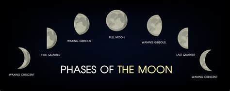 Phases Of The Moon