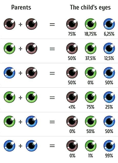 Choose Your Baby’s Eye Color | The Fertility Institutes offers eye ...