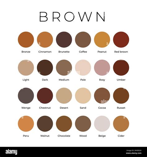 Shades of brown color samples Stock Vector Images - Alamy