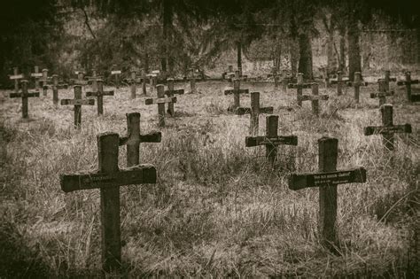 abandoned cemetery on Behance