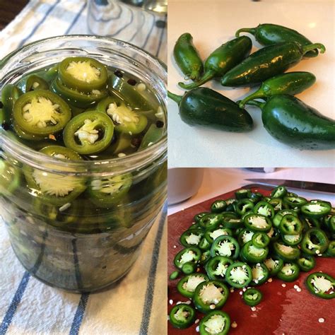 Pickled Jalapenos Recipe | Recipe | Pickling jalapenos, Pickles ...