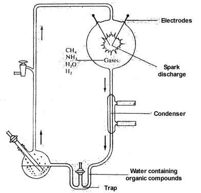 Origin of Life: Critique of Early Stage Chemical Evolution Theories ...