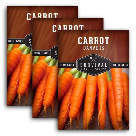 Danvers Carrot Seeds for Planting - SurvivalGardenSeeds