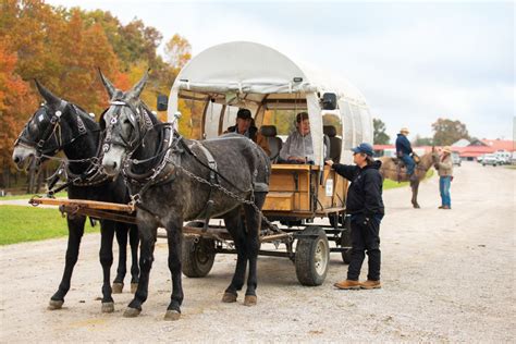 Tennessee Mule Skinners Share Their Agricultural Tradition - Farm Flavor