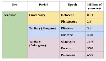 Timeline Of Cenozoic Era