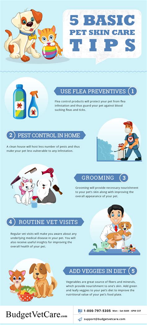 Pet Skin Care Tips - Basic Way to Keep Your Pet Healthy and Happy