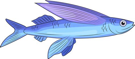 Flying Fish Clipart - Png Download - Full Size Clipart (#5656549 ...