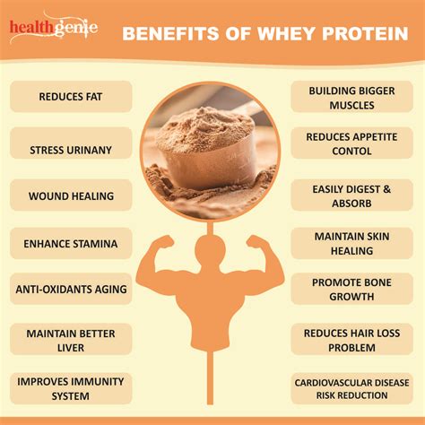 Benefits Of Whey Protein Powder