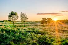 Veld Landscape With Cloud Free Stock Photo - Public Domain Pictures