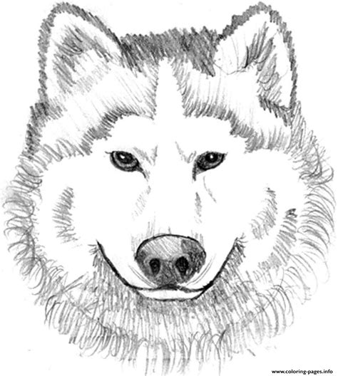 Realistic Wolf Face Coloring page Printable