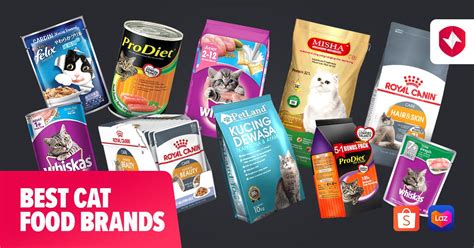 Common Cat Food Brands Shop | centralcountiesservices.org