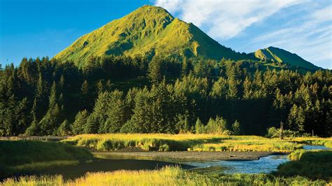 Kodiak Island Vacations 2017: Package & Save up to $603 | Expedia