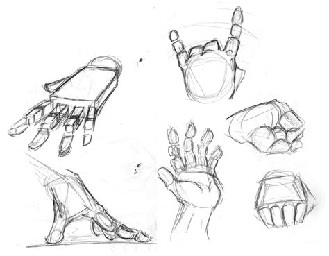 Hand Anatomy Drawing at GetDrawings | Free download