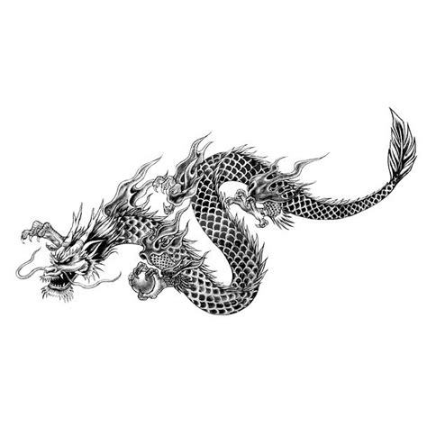 Chinese Dragon Tattoo Sketch