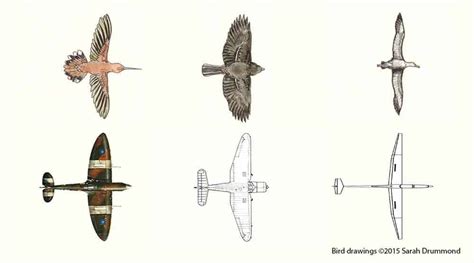 9 Types of Aircraft Wings in Depth - Aero Corner