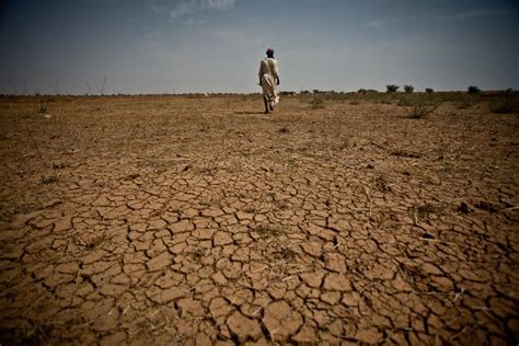 Sahel drought - Alchetron, The Free Social Encyclopedia