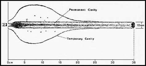 WOUND BALLISTICS - Motion and Effects of Projectiles in the Human Body ...