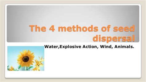 The 4 methods of seed dispersal