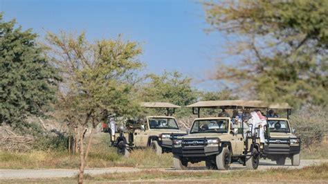 Sharjah Safari opens: Embark on an African wildlife adventure with over ...