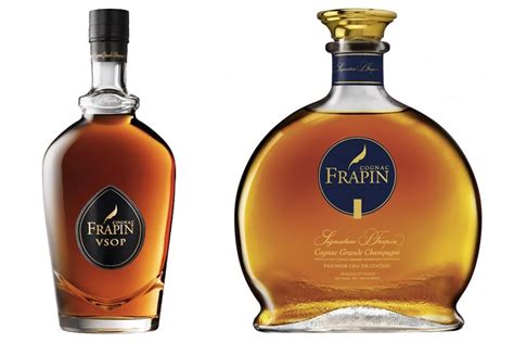 10 Best Cognac Brands to Spruce Up Your Snifter | Man of Many