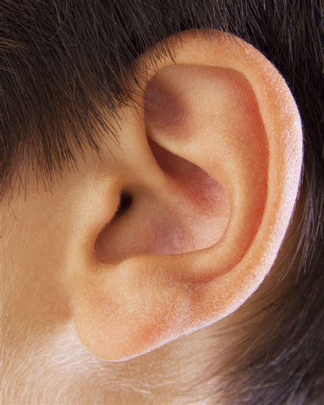 What? Hearing Aids Are Out of Range for Most Americans (Op-Ed) in 2024 ...