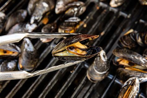 How To Cook Mussels On The Grill - Recipes.net