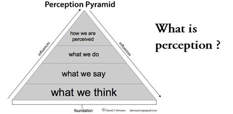 perception the ability to see, hear, or become aware of something ...