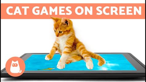 Touch Screen Games For Cats : CAT GAMES ★ FAST DRAGONFLY HUNT on screen ...