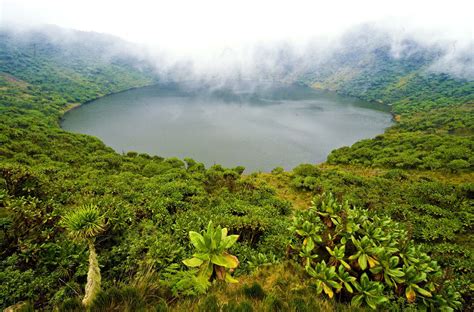 Volcanoes National Park – Visit Rwanda