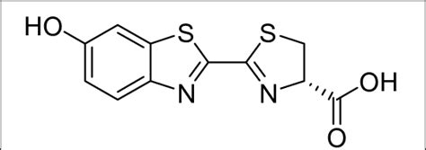 8. Structure of luciferin | Download Scientific Diagram