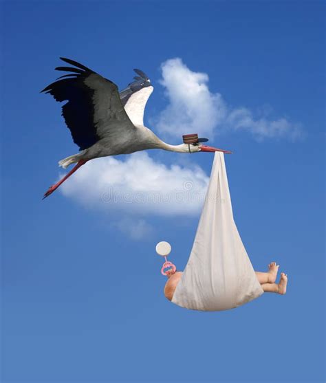 13+ Stork carrying baby Free Stock Photos - StockFreeImages