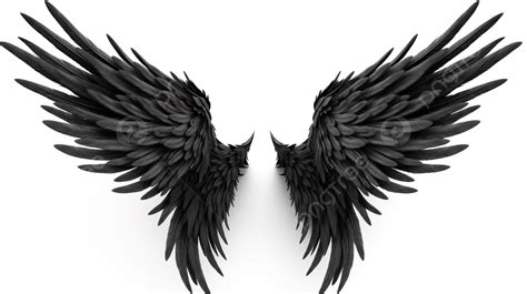 Fallen Angel Wings Wallpaper Hd - Infoupdate.org