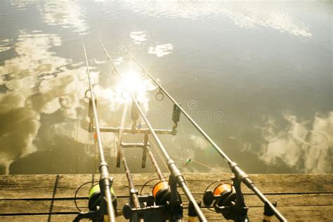 Carp fishing rods stock image. Image of equipment, catch - 157266793