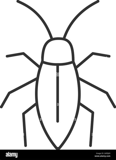 Cockroach linear icon. Thin line illustration. Contour symbol. Vector ...