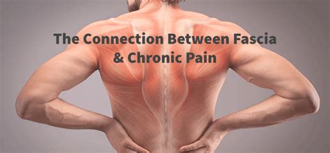 The Connection Between Fascia & Chronic Pain | NJ Spine & Ortho