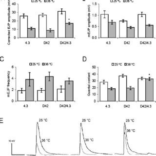 HSP70 protects quantal content of neurotransmission at high temperature ...