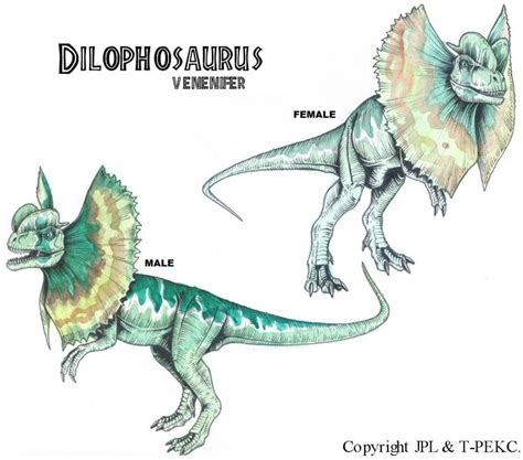 Dilophosaurus “venenifer” | JPL Live the Legend Wiki | Fandom