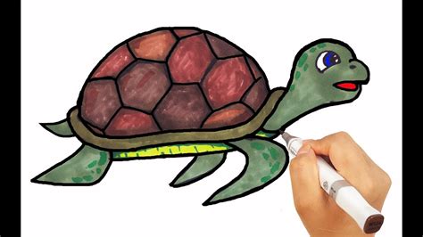 How to Draw Turtle | Drawing with Colored Markers Learn Names for kids ...