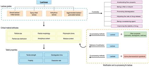 Lactose in tablets: functionality, critical material attributes ...