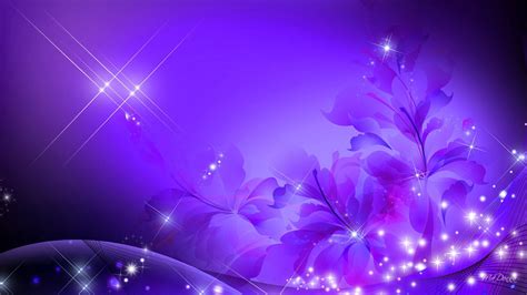 Glorious Purple - Flower Shine - 1920x1080 Wallpaper - teahub.io