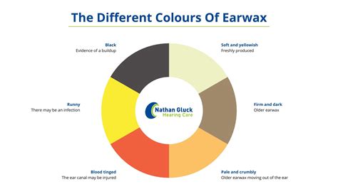 Earwax Microsuction: The Facts - Nathan Gluck Hearing Care