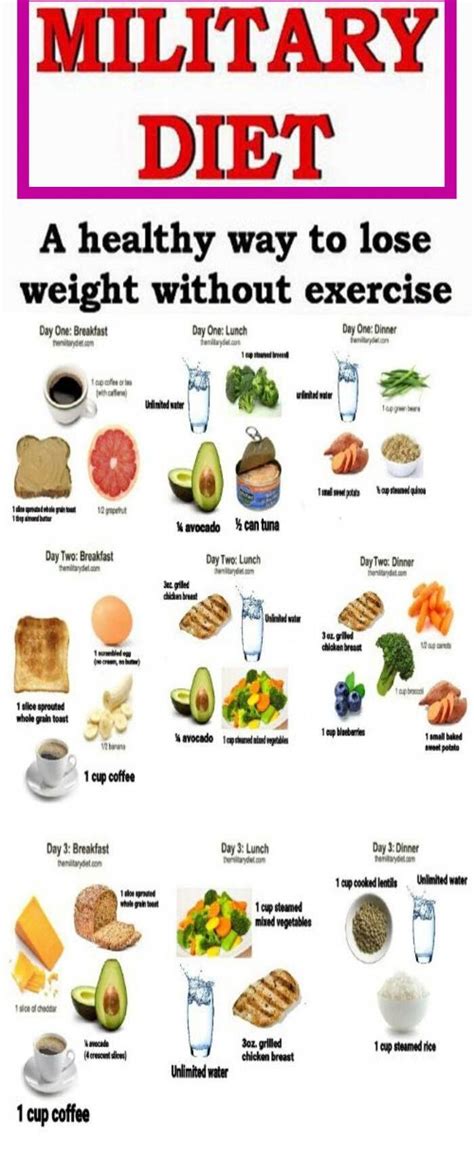 The Best Diet Chart To Gain Weight In One Month Pdf PNG - storyofnialam